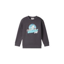 TOM TAILOR Jungen Sweatshirt mit Bio-Baumwolle, grau, Print, Gr. 92/98