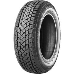 Winterreifen GT RADIAL "GT RADIAL", schwarz, 215mm / 60 % R 16 99H, Autoreifen, WINTERPRO 2