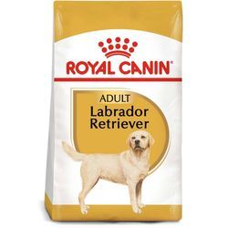 ROYAL CANIN Labrador Retriever Adult Hundefutter trocken 3kg