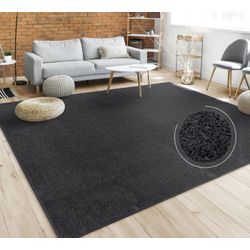 Teppich PACO HOME "Porto 890", schwarz, B:240cm H:13mm L:340cm, Obermaterial: 100% Polypropylen, Teppiche, Kurzflor, Uni-Farben, ideal im Wohnzimmer & Schlafzimmer