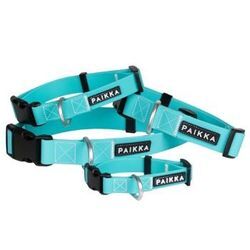 Paikka Glow Collar aqua 26 cm, 2,5 cm