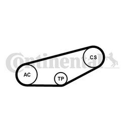 CONTINENTAL CTAM Keilrippenriemensatz für AUDI VW SKODA 4PK855K1