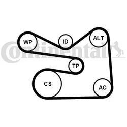 CONTINENTAL CTAM Wasserpumpe + Keilrippenriemensatz für VW AUDI SEAT SKODA 6PK1733WP3