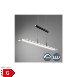 LED Pendelleuchte, schwarz, 1xLED-Platine/20W