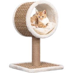 Katzen-Kratzbaum mit Tunnel und Spielzeug 56 cm Seegras Vidaxl