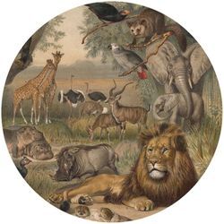 Fototapete Animals of Africa 190 cm Wallart