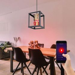 Smart Hänge Leuchte dimmbar Holz Pendel Decken Lampe steuerbar per App Sprache Handy im Set inkl. rgb led Leuchtmittel