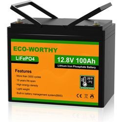 Eco-worthy - Lithium batterie 12V 100Ah LiFePO4 Akku mit über 3000+ Tiefzyklus und bms Schutz für Solaranlage, Wohnmobil, Boot,Solarpanel Kit und