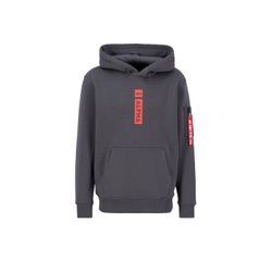 Hoodie ALPHA INDUSTRIES "Alpha Industries Men - Hoodies Alpha Puff Print Hoodie", Herren, Gr. L, grau (vintage grau), Obermaterial: 80% Baumwolle, 20% Polyester, regular fit, Sweatshirts