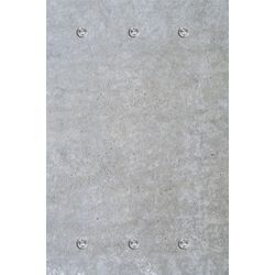 Garderobenleiste QUEENCE "Wand", grau, B:80cm H:120cm T:5cm, Acrylglas, Edelstahl, Garderobenhalter, mit 6 Haken, 80 x 120 cm