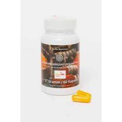 Longvida Optimized Curcumin®, 60 Kapseln [1.013,51 EUR pro kg]