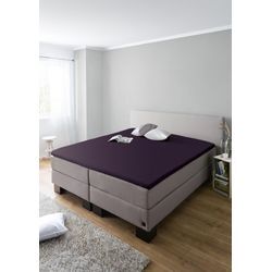 Spannbettlaken SCHIESSER "Flexi für Topper aus 95% Baumwolle und 5% Elasthan in Premium-Qualität", lila (aubergine), B:180-200cm L:200-220cm, Jersey-Elasthan, Obermaterial: 95% Baumwolle, 5% Elasthan, Laken, für Matratzen bis zu 10 cm Höhe, MADE IN GREEN by OEKO-TEX