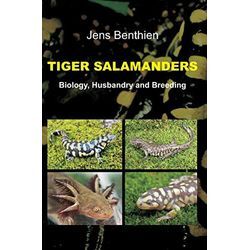 Jens Benthien - Tiger Salamanders