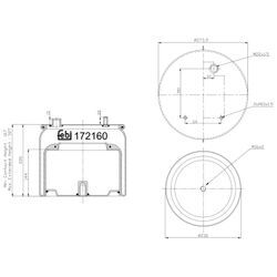 FEBI BILSTEIN Federbalg, Luftfederung Universal hinten rechts links mit Kolben 230mm für DAF 1901305 172160