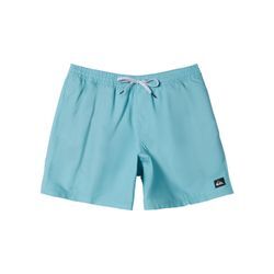 Boardshorts QUIKSILVER "Everyday Solid Volley 15"", Herren, Gr. L, blau (marine blau), 100% Polyester, Hosen