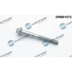 Dr.Motor Automotive Schraube, Einspritzdüsenhalter 1x für PEUGEOT CITROËN FORD 9675742980 BK2Q9T506BA 1717583 DRM01072